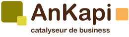 Ankapi - agence conseil en marketing